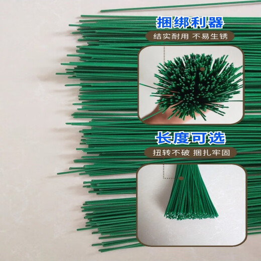 
Plastic-clad iron wire anti-rust fine iron wire tied wire floor heating special tied wire gardening tied soft wire shape tie tie green 32 cm long 1.1 thick 1 box about 14666