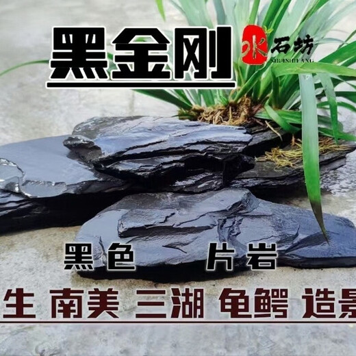 Fish tank stone ornamental stone original tank black gold fine schist turtle basking back schist landscaping platform fish tank climbing pet vacation 10Jin Jin equals 0.5kg small stone pile 5-10cm