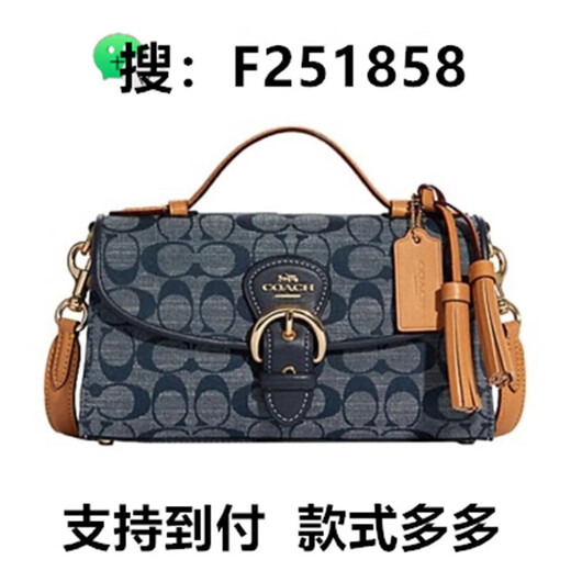 抢购 今年包包百搭通用画袋 画包22号便携包手提包零钱包 681*1*1cm