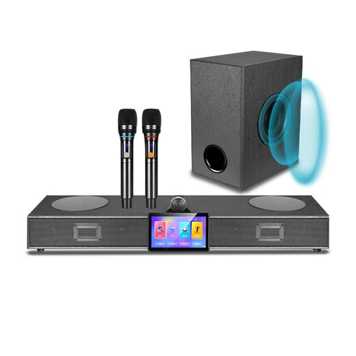 HYUNDAIQ5Plus Heim-KTV-Audioset, Heim-Wohnzimmer-TV-Karaoke-Karaoke-Maschine, All-in-One-Massivholz-Bluetooth-Heimkino, Echo-Wand-Subwoofer-Lautsprecher, Voice-Karaoke, verbesserte Version – zwei 8-Zoll-Subwoofer + zwei kabellose Mikrofone