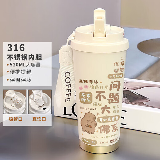 胖东来商场方舰店旗吸管保温杯果盈卡通情侣保温杯男女大容量运 不锈钢内胆-FA1276山+挂绳