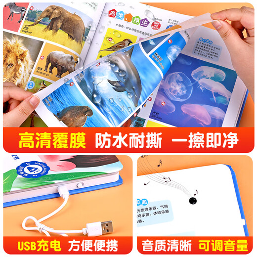Hablando el audiolibro de educación temprana de 0 a 3-6-7 años Máquina de lectura para niños de niños Inglés chino y cantonés La máquina de aprendizaje de los cantones