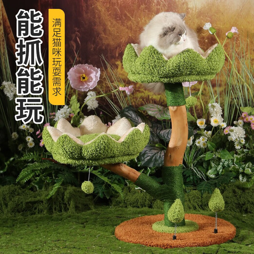 JD Express Meow Pet Solid Wood Cat Climbing Frame Large Cat Pet Climbing Frame Integrated Observation Deck Toy MPJ-E12-Good Luck Lotus