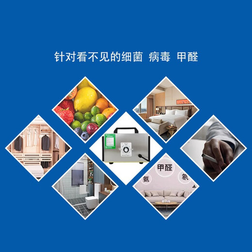Home Pioneer Ozone Disinfection Machine Household Air Formaldehyde Sterilization Space Farm Deodorization Industrial Food Factory Deodorization Deodorization Musty Ozone Generator 220V5G (Upgraded Model)