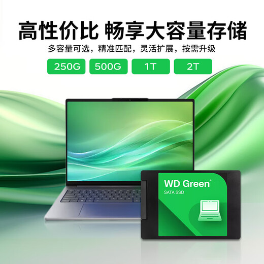 Western Digital (WD) Disque SSD vert Interface SATA3.0 Disque vert pour ordinateur portable Disque dur de bureau Haute vitesse Faible consommation d'énergie SATA3.0 500 Go