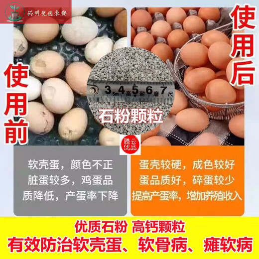 Feed grade calcium supplement stone powder rice egg egg duck egg poultry special calcium supplement feed raw material premix additive calcium supplement for eggs and poultry feed grade stone powder high calcium stone granules/2 bags