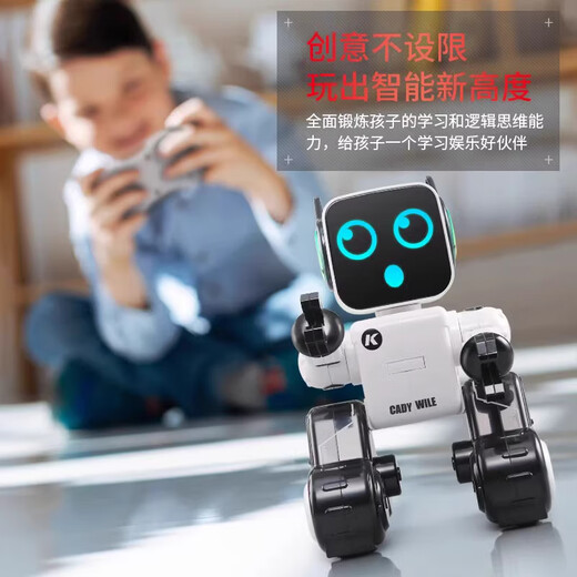 嘉识ai语音机器人伴侣遥控陪伴儿童智能对话新款高级黑科技会说话的 智能对话-红色成长礼早教机器人( 标配