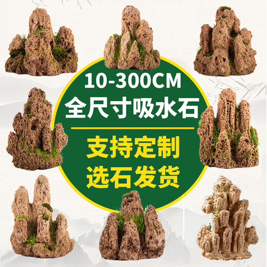 Absorbent stone on water stone natural raw stone fish pond fish tank bonsai micro landscape green plant landscaping decorative ornaments rockery stone 10-14cm absorbent stone without pot free grass seeds with stone