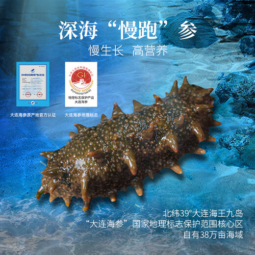 Shangpintang Dalian organic ready-to-eat sea cucumbers, Liao sea cucumbers individually packaged, ready to eat, gift box 1000g, 30-40 gift boxes/2 Jin Jin equals 0.5 kg