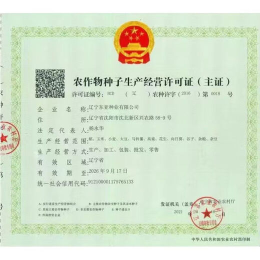 East Asia small steel gun Dongdan 1331 corn seed original first generation hybrid corn seed storage corn seed 2 bags/Dongdan 1331-about 6000 grains per bag