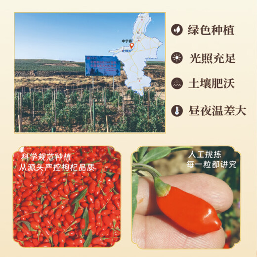 泡茶枸杞不熏硫染色宁夏特级红枸杞子干果独立包装养生滋补袋装 【宁夏】特级红枸杞 100g