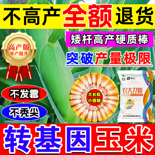 Strong man's genetically modified high-yield corn seeds with short stems and lodging resistance, nationally approved double-rod twins, drought-resistant new varieties of corn seeds, genetically modified golden grains, 4100 grains