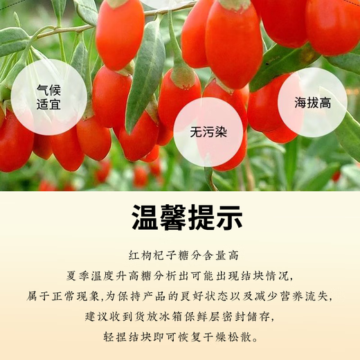 Chen Yifan Astragalus Wolfberry Té Yuanqi, rodajas de cita roja, longan, carne, lobas rojo astrágalo astrágalus rodajas, Qi combinado y té de salud de sangre 200g