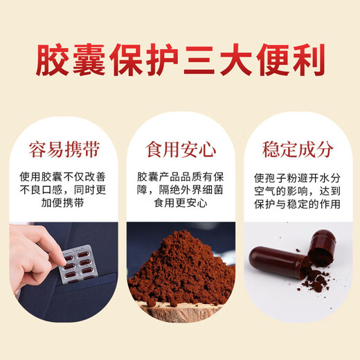 敖东破壁灵芝孢子粉胶囊【26年11月到期】 增强免疫力中老年人营养品 【稳定期】孢子粉灵芝胶囊 *10盒装