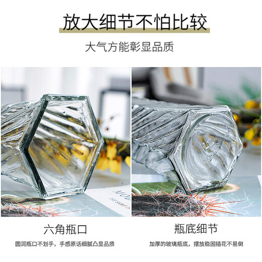 Chengai transparent glass vase, simple and noble, bamboo lily, hydroponic pothos plant, rich vase, living room flower arrangement, 30cm higher, hexagonal (bamboo leaf pattern), 30cm high