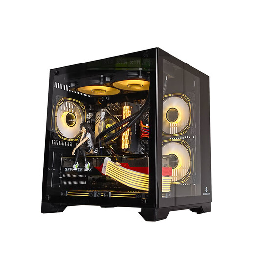 玩嘉 孤勇者MINI白电脑机箱台式机MATX海景房240一体水冷全侧透ITX桌面 孤勇者MINI黑