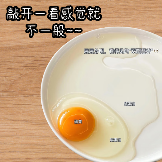Jiuhua Mountain local eggs mountain forest free-range local eggs head nest eggs 40-50g gift fresh soft-boiled eggs fresh eggs 4 pieces for early use Jiuhua Mountain local eggs mountain forest free-range local eggs head nest eggs 40-50g gift fresh soft-boiled eggs fresh eggs 4 pieces for early use