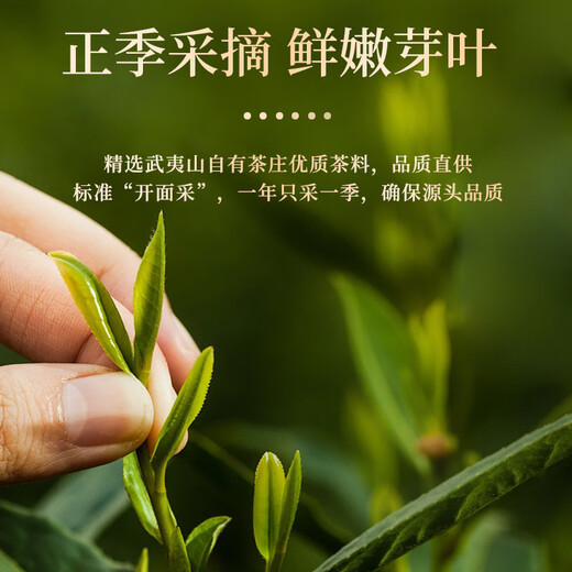 一杯香乌龙茶武夷山正岩大红袍兰花香一级250g礼盒装茶叶自己喝散装送礼