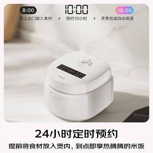 Subvention nationale Panasonic (Panasonic)