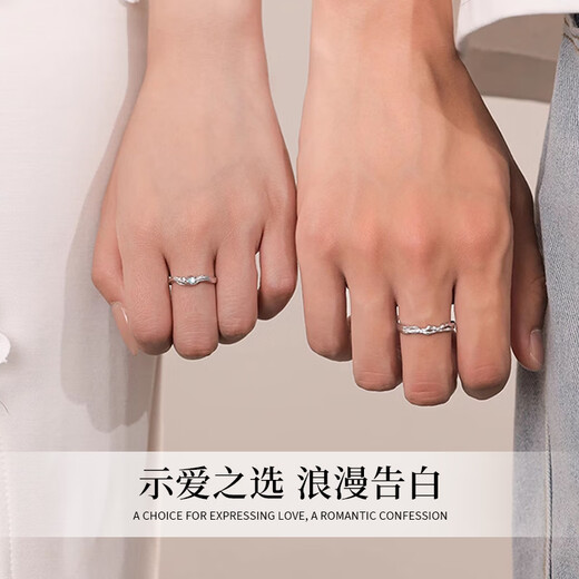 Chinese Jewelry Eucalyptus and Bird Couple Ring Men and Women One Sterling Silver Proposal Ring Confession Birthday Anniversary Gift for Girlfriend