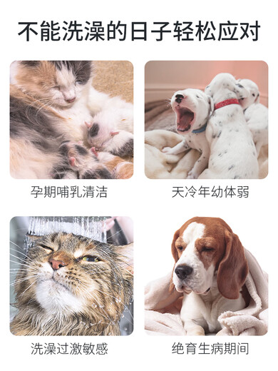 DINOSAW Cat Disposable Gloves Pet Dry Cleaning Artifact Cleaning Wipes Dog Bath Eye Wet Papers Cleaning 3-piece Set Glove Wipes + Ear Cleaning Wipes + Tear Stain Wipes