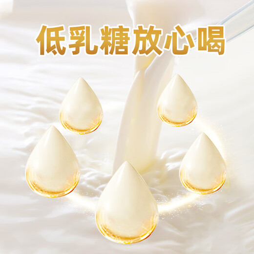 Bomei Pet Puppies Goat Milk Powder Teddy French Bulldog General Dog Nutritional Supplement for Newborn Puppies to Eat and Drink Goat Milk Powder