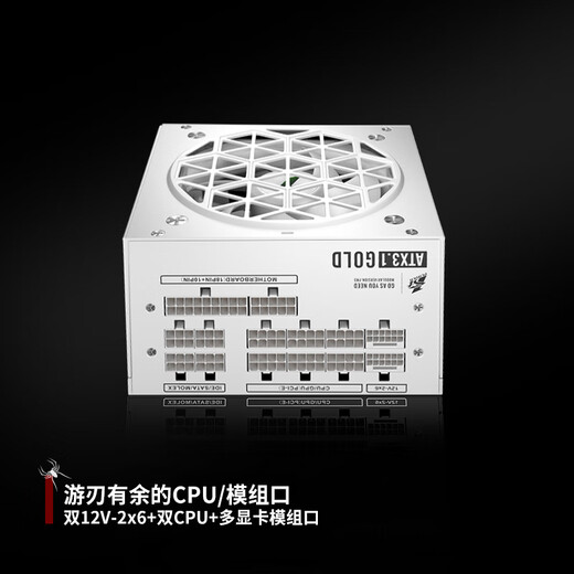 首席玩家（1st player）NGDP金牌 1000W电源（ATX3.0&3.1双规范/MES ID/压纹线/FDB风扇/支持5090/白色）