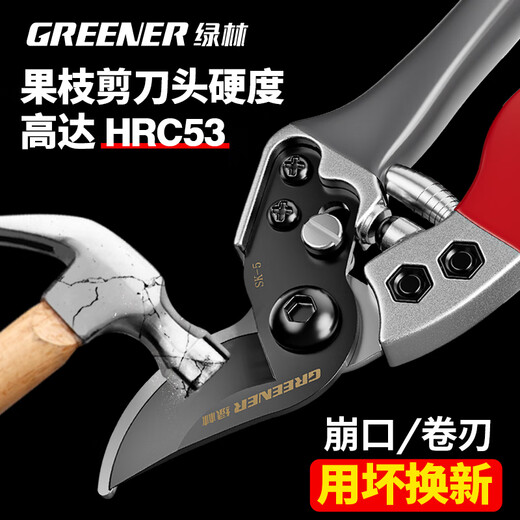Green Forest Japan imported SK5 steel fruit tree gardening pruning shears, special scissors for cutting branches, flower shears, floral branch scissors, professional style SK5 steel + waist box_maintenance oil_elastic