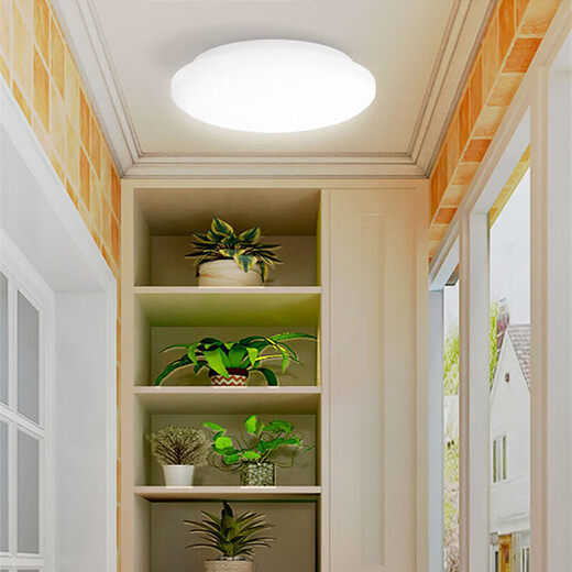 Philips LED ceiling light ultra-thin three-proof balcony light bedroom aisle simple corridor light Hengyan insect-proof and mosquito-proof 17W white light