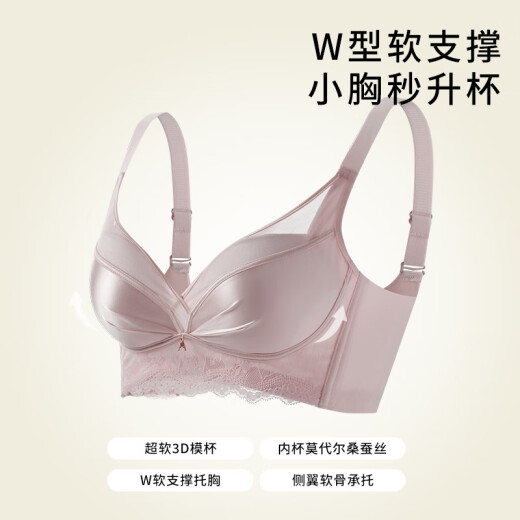 芬腾内衣女夏季新品小胸提拉聚拢性感蕾丝透气防下垂无钢圈收副乳文胸