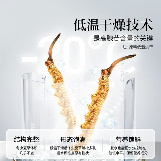 同仁堂品牌冬虫夏草约4根/g5g约20根年虫草礼盒高端送人父母北京同仁堂