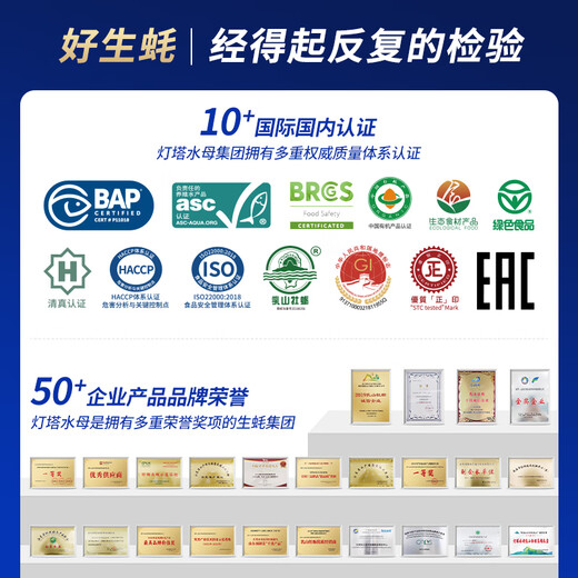 Bassling Fresh Rushan Ecological Oysters 4XL Net weight 9Jin Jin is equal to 0.5kg 17-23 pcs Freshly delivered directly from the source for New Year gifts