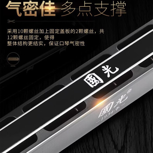 国光德国进口音簧国光28孔高端口琴复音专业演奏级24孔重音初学者送礼 高端演奏级-28孔梦境黑复音C调