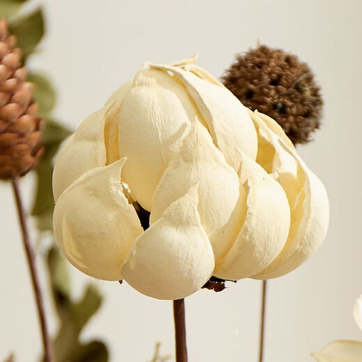 Frühlings- und Herbsternte High-End-Qualität getrockneter Blütenstrauß Real Blumen Wohnzimmer Innenausstattung High-End-Dekoration Ornamente Desktop Blütenarrangement Licht Luxus getrocknete Blume Kombination 12046 [ohne Vase]
