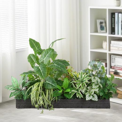 Yonghuan simulated green plant flower tank landscaping partition combination flower box fake plant interior window drop landscaping decoration A5012 yellow edge banana leaves + 3 fork lily bamboo white edge