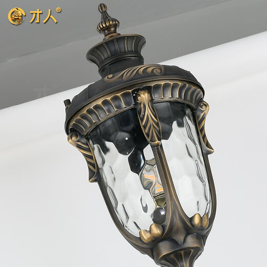 才人欧式庭院灯别墅花园景观灯室外防水路灯小区院子高杆灯 1头高杆灯（ALC-9856-1）