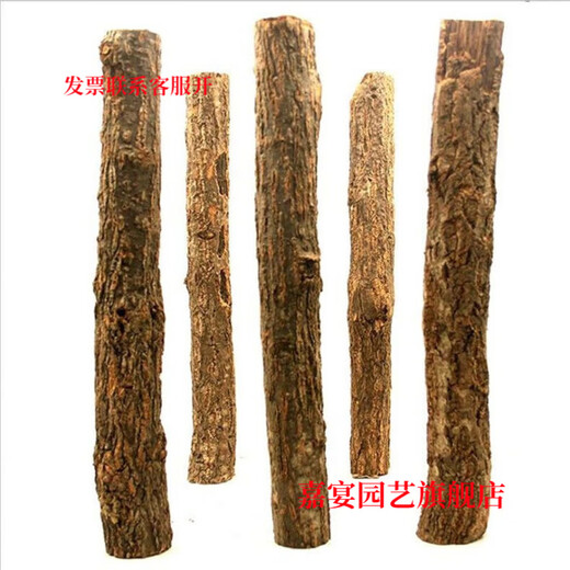 Champagne trunk underwater forest ornaments decoration pure natural water and land tank rainforest tank landscaping climbing pet turtle sun terrace 6-8 cm in diameter and 30 cm long