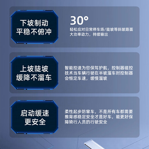 Flying Pigeon Electric Tricycle, Passenger and Cargo Dual-Purpose Car, Elderly People's Transport, Cargo and Cargo, Battery Car for Picking Up Children