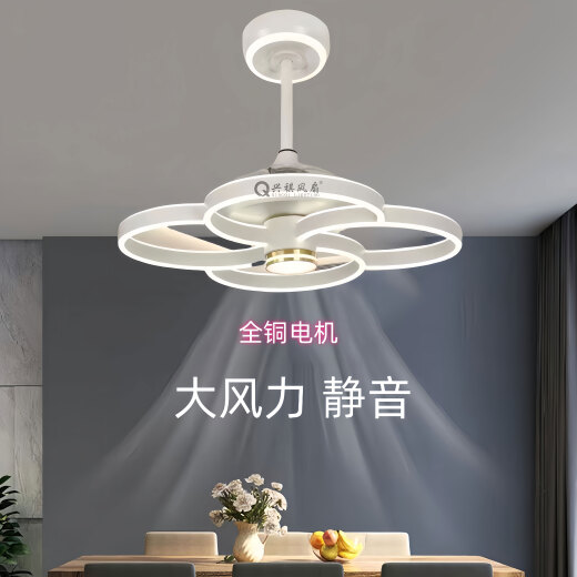 公牛2025年新款隐形吊扇灯大风力家用餐厅饭厅卧室电风扇一体吊灯静音 隐形款9227/黑60CM变频遥控+直接