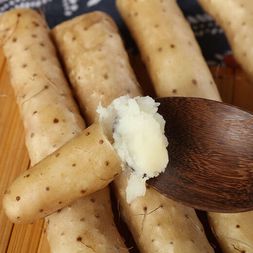 Yam Xiaobaizui Yam Sesame Yam Iron Stick Yam Powder Glutinous Children's Food Supplement Health Food Fresh Vegetables Xiaobaizui Yam 1Jin Jin equals 0.5kg (10cm-20cm)