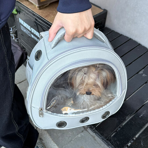 OIMG Yorkshire puppy outdoor carrying bag small pet outdoor backpack transparent folding high-looking cat school bag gray (Yorkshire/small pet) 32-23-31CM (small space, suitable for small pets