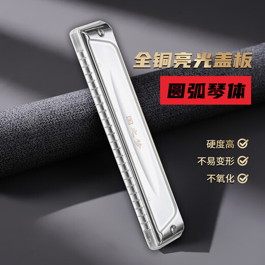Guoguang 24-hole Guozhimeng performance-grade upgraded polyphonic C harmonica (new transparent fret, silver)
