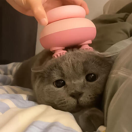 Jingmengyuan Cat Massage Head Artifact Pet Automatic Massage Instrument Dog Tickle and Grooming Massager for Cats and Dogs Light Green