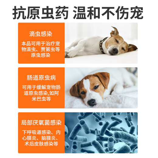 ERGOBABY for pets, bad breath, stomatitis, toothache, gingivitis, redness, swelling, periodontitis, oral ulcers, antiprotozoal metronidazole tablets