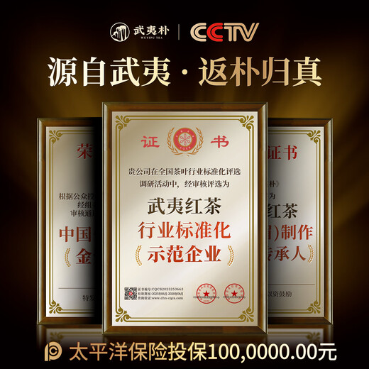 Wuyi Pu Cinnamon Wuyi Mountain Rock Tea Oolong Tea Geschenkbox mit extra Level 204G Neues Tee High-End-Festivalgeschenke für Älteste