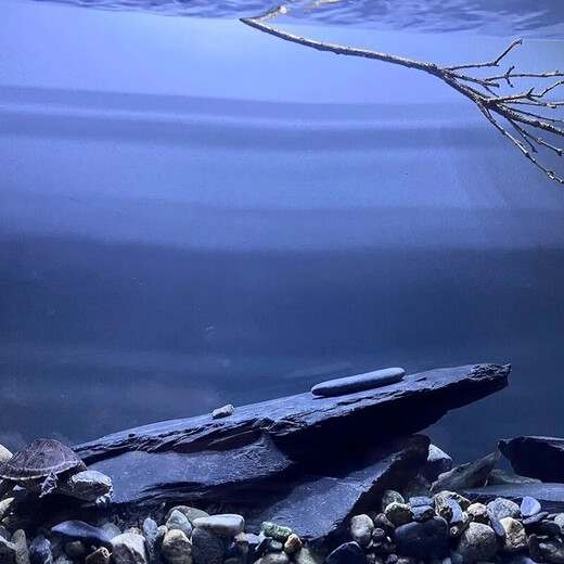 Fish tank stone ornamental stone original tank black gold fine schist turtle basking back schist landscaping platform fish tank climbing pet vacation 10Jin Jin equals 0.5kg small stone pile 5-10cm