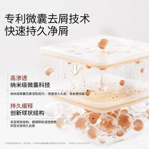 roye若也【龚俊同款】去屑止痒洗发水控油清爽青蒿植萃洗发液236ml