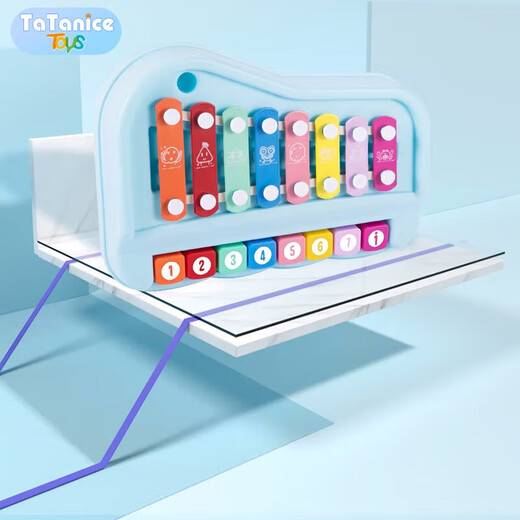 TaTanice children's piano-knocking 3-6-year-old baby two-in-one piano-knocking instrument music toys birthday gift for boys and girls