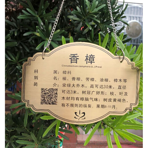 Letrero de árbol hecho a medida de acero inoxidable metal plantas verdes letrero ecológico patio flores y árboles introducción adopción plug-in acero inoxidable 20*15