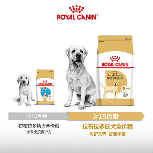 Royal Dog Food Labrador Adult Dog Food Dog Food Pet Large Dog LR30 Full Price Dog Food 15 3KG